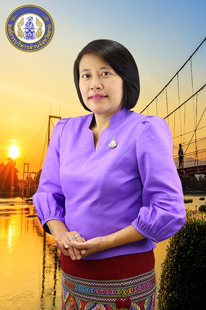 นางสาวเพชรรัตน์ บุญมาวงศ์